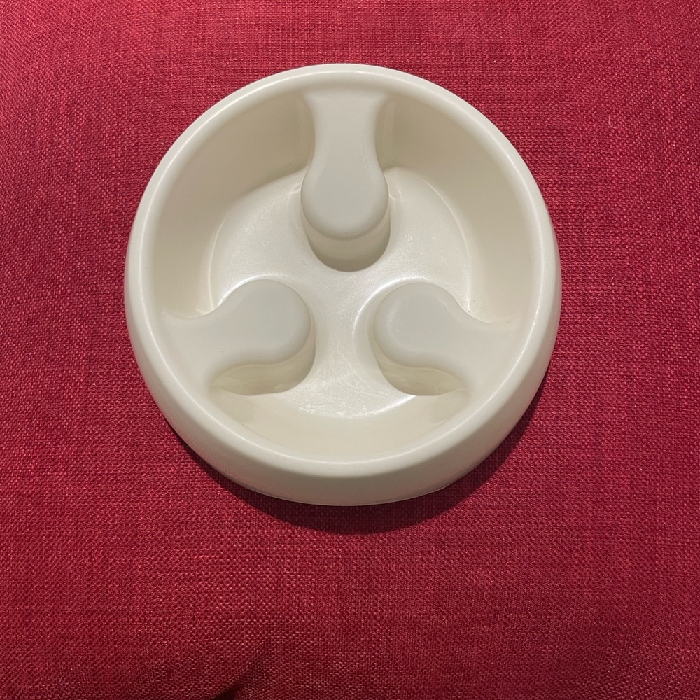 Slow Feeder Dog Bowl